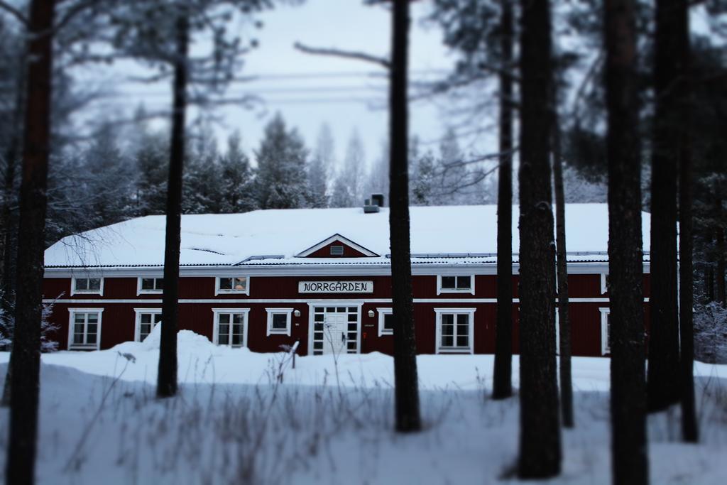 Svanstein Lodge Exterior photo